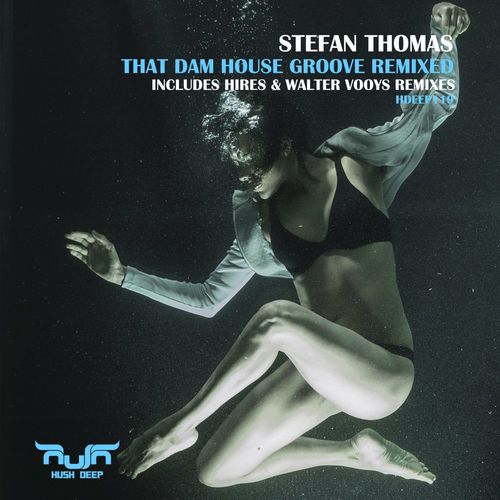 Stefan Thomas - That Dam House Groove Remixes / Hush Deep