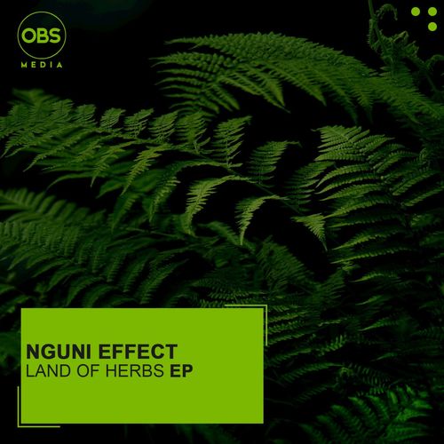 Nguni Effect - Land Of Herbs EP / OBS Media