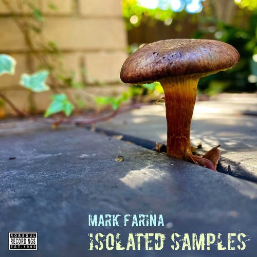 Mark Farina - Isolated Samples / Robsoul