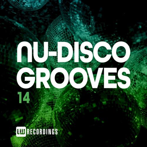 VA - Nu-Disco Grooves, Vol. 14 / LW Recordings