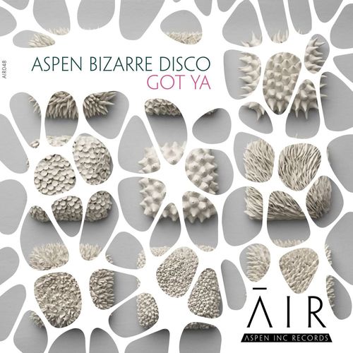 aspen bizarre disco - Got Ya / Aspen Inc Records