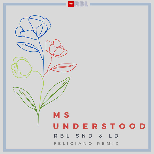 RBL SND & LD - Ms Understood / Ricanstruction Brand Limited