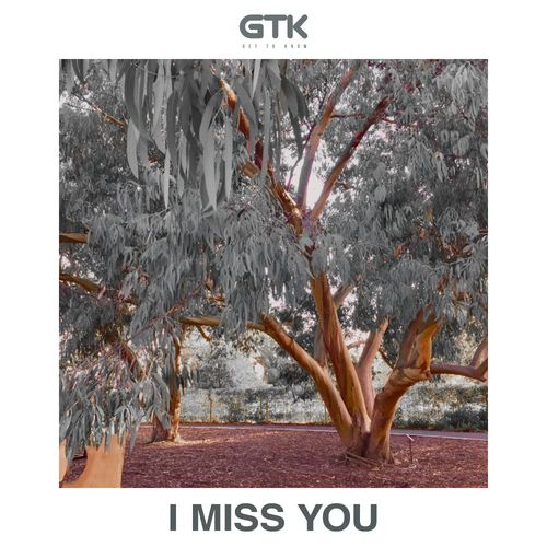 Get To Know - I Miss You / Future Sound of Then