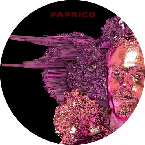 Paprico - Mr Preacher / Sound-Exhibitions-Records