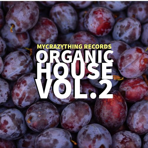 VA - Organic House, Vol. 2 / Mycrazything Records