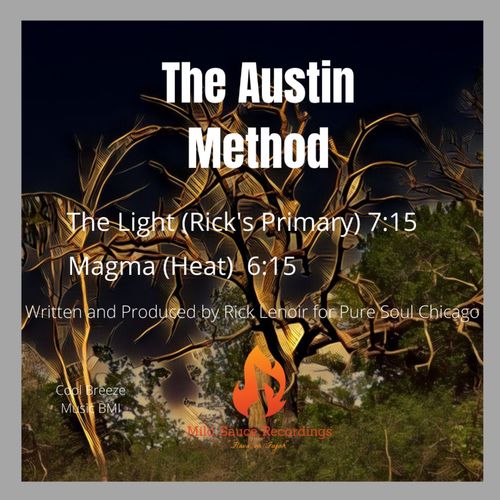 The Austin Method - The Light / Magma / Mild Sauce Recordings / Patina Skye Music