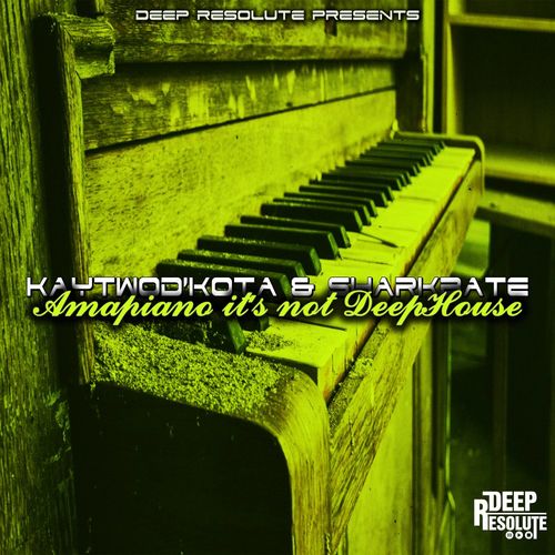 KaytwoD'kota & Sharkbate - Amapiano it's not DeepHouse / Deep Resolute (PTY) LTD