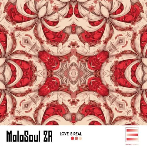 MoloSoul ZA - Love Is Real Remixes / Hard Knocks Digital