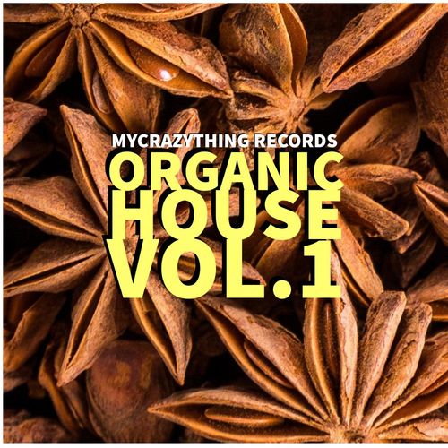 VA - Organic House vol.1 / Mycrazything Records
