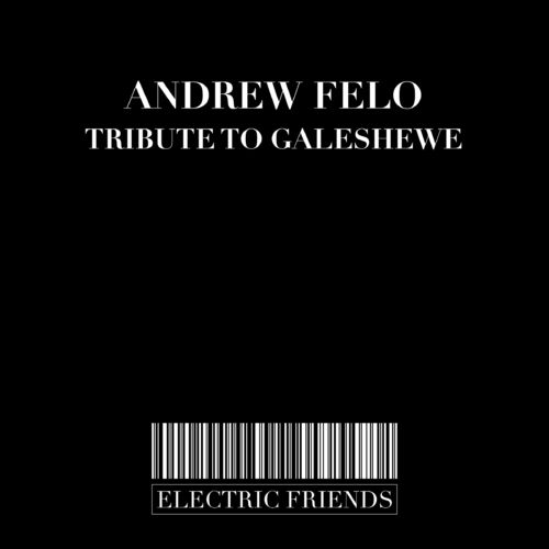 Andrew Felo - Tribute To Galeshewe / ELECTRIC FRIENDS MUSIC