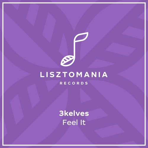 3kelves - Feel It / Lisztomania Records