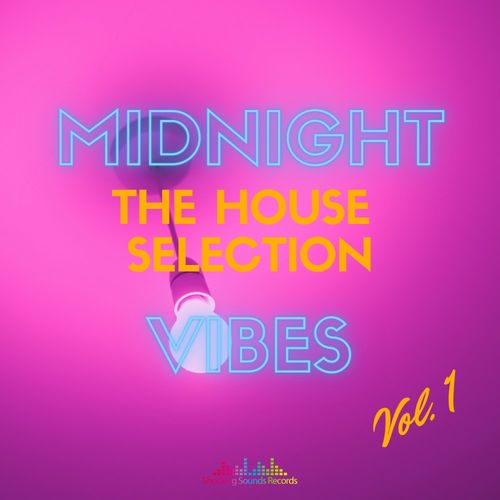VA - Midnight Vibes - The House Selection Vol 1 / Shocking Sounds Records