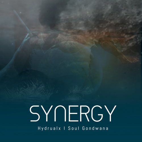 Hydraulx & Soul Gondwana - Synergy / Devoted Music
