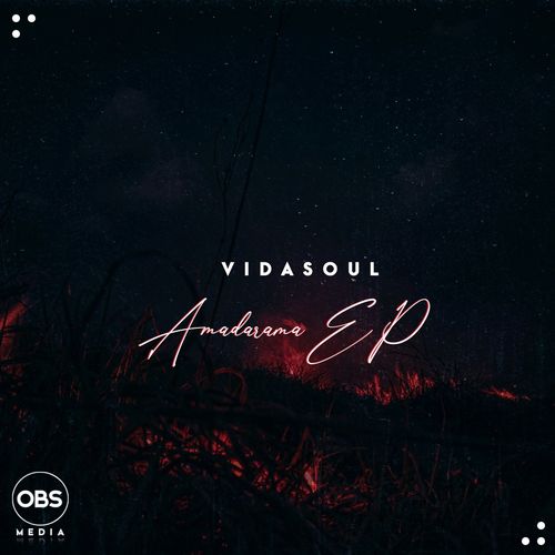 Vida-soul - Amadamara EP / OBS Media