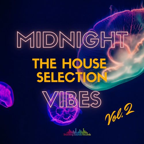 VA - Midnight Vibes: The House Selection, Vol. 2 / Shocking Sounds Records
