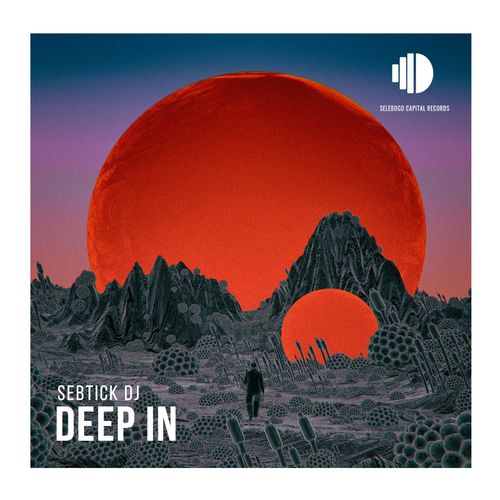 SebTick DJ - Deep In / Selebogo Capital Records