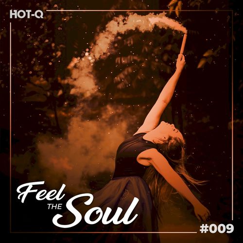 VA - Feel The Soul 009 / HOT-Q