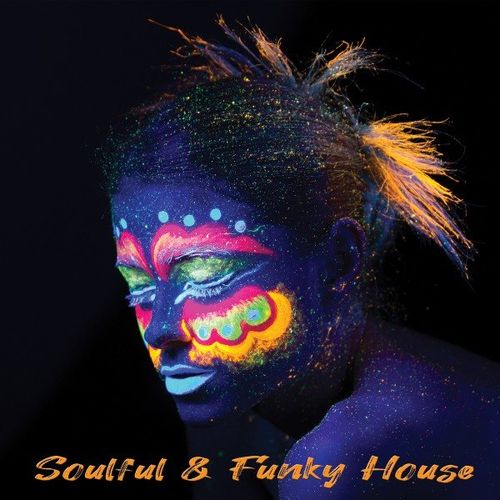 VA - Soulful & Funky House / House Place Records