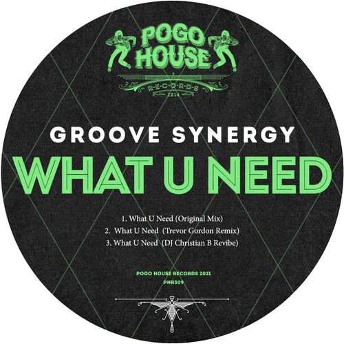 Groove Synergy - What U Need / Pogo House Records