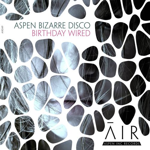 aspen bizarre disco - Birthday Wired / Aspen Inc Records