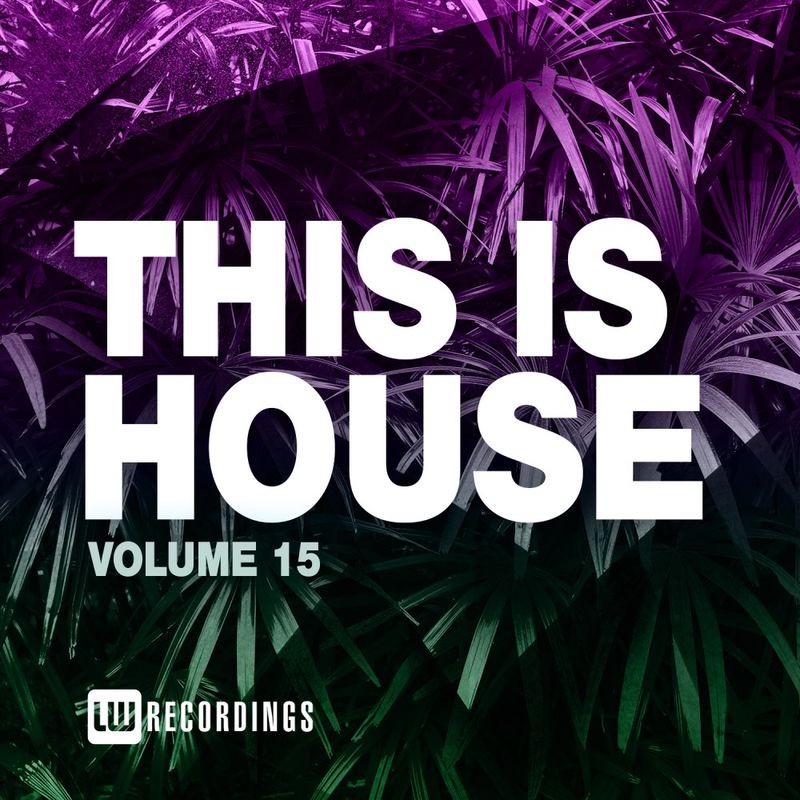 VA - This Is House, Vol. 15 / LW Recordings