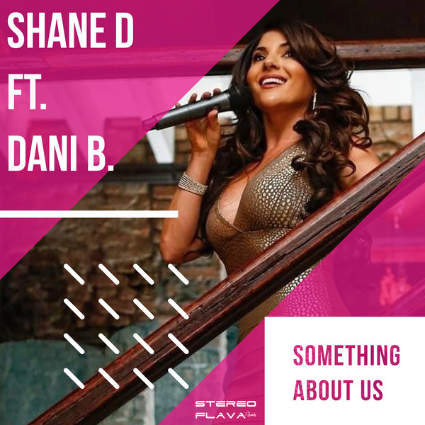 Shane D ft Dani B - Something About Us / Stereo Flava Records