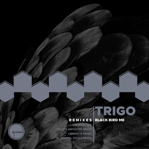 Trigo - Black Bird Me / El Mental Souls Music