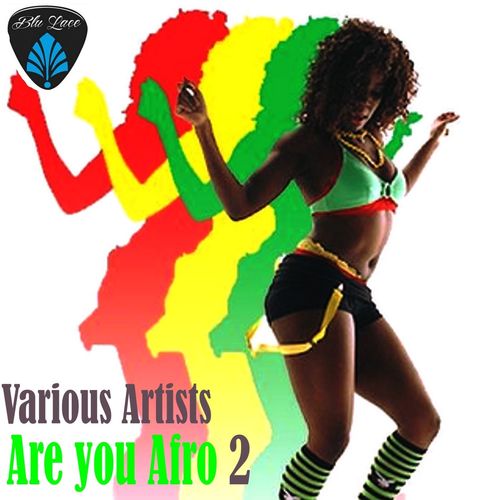 VA - Are You Afro 2 / Blu Lace Music