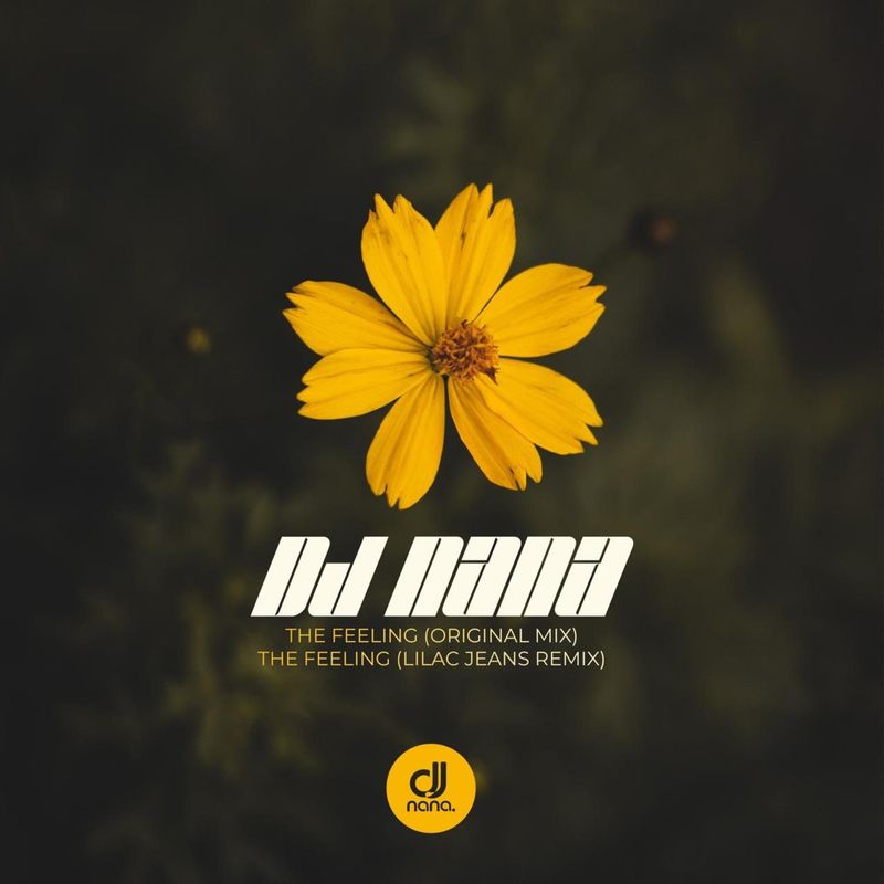 DJ Nana - The Feeling / SculpturedMusic