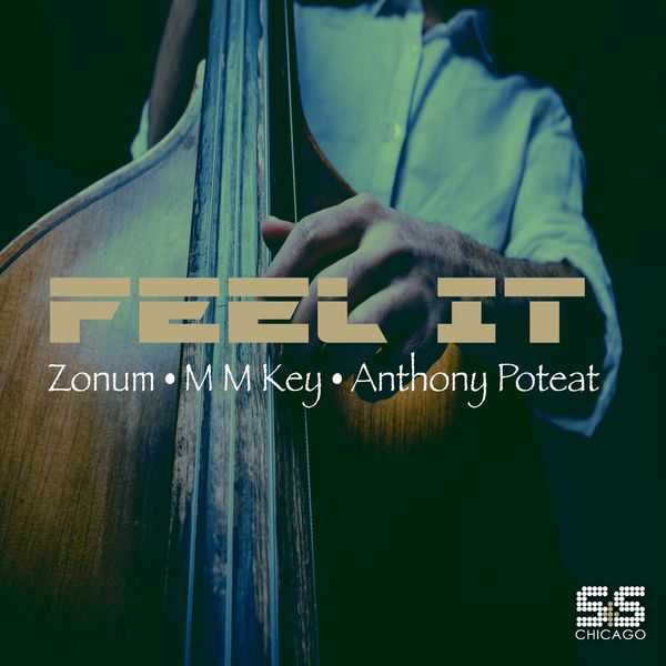 Zonum, M M Key, Anthony Poteat - Feel It / S&S Records