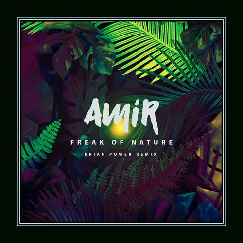 Amir - Freak of Nature (Brian Power Remix) / AMSLiCE Records