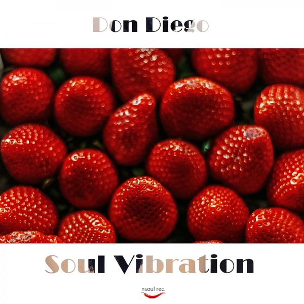 Don Diego - Soul Vibration / Nsoul Records