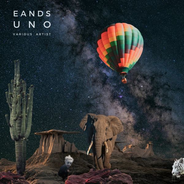 VA - Eands UNO / EandS Records