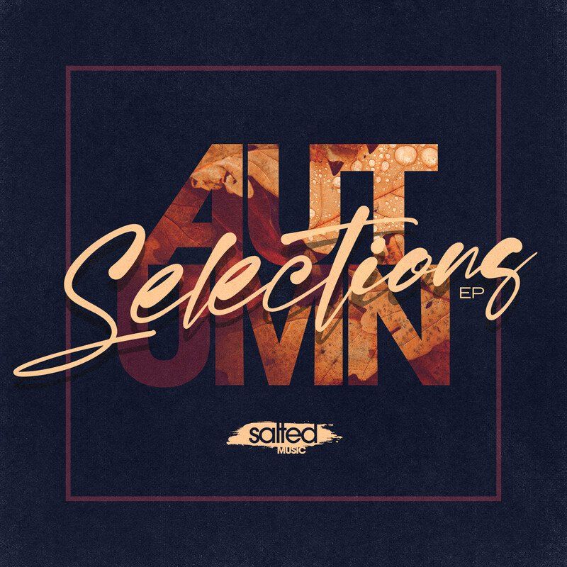 VA - Autumn Selections / SALTED MUSIC