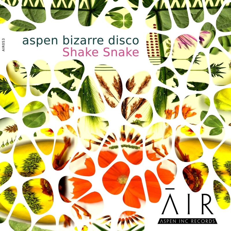 aspen bizarre disco - Shake Snake / Aspen Inc Records