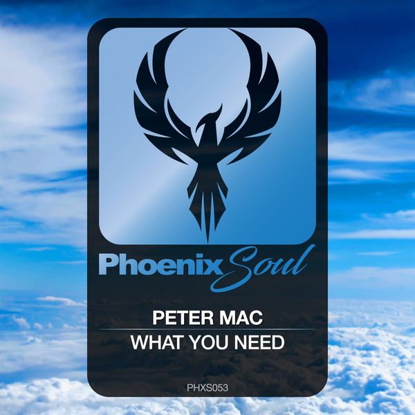 Peter Mac - What You Need / Phoenix Soul