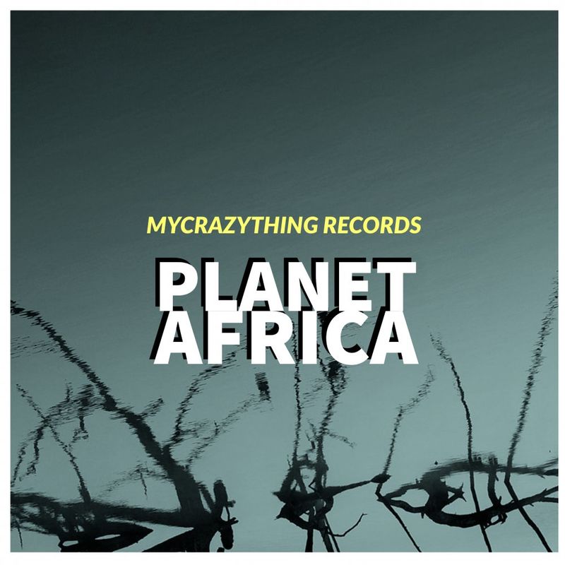 VA - Planet Africa / Mycrazything Records