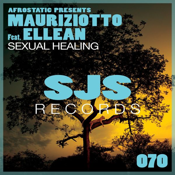 Mauriziotto ft Ellean - Sexual Healing / Sjs Records