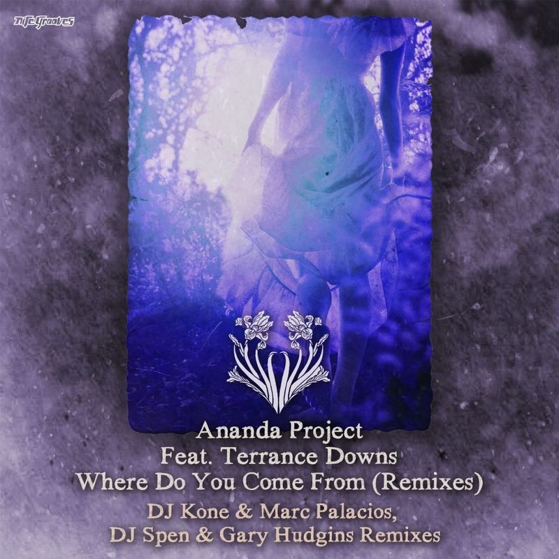Ananda Project - Where Do You Come From (Remixes) / Nite Grooves