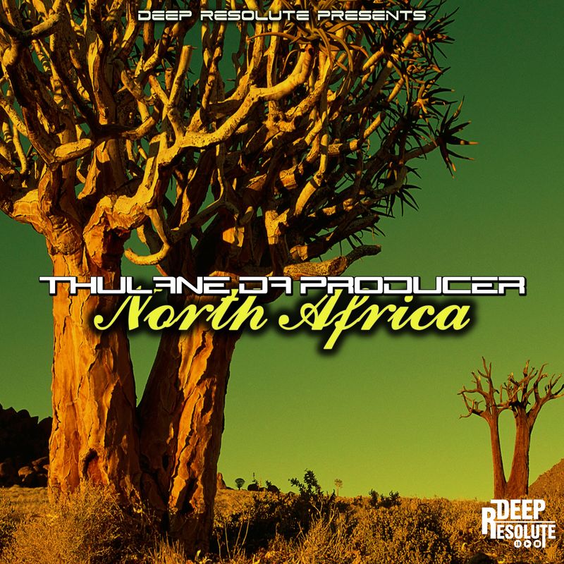 Thulane Da Producer - North Africa / DEEP RESOLUTE (PTY) LTD
