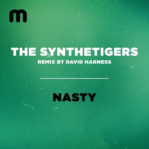 The SyntheTigers - Nasty / Moulton Music