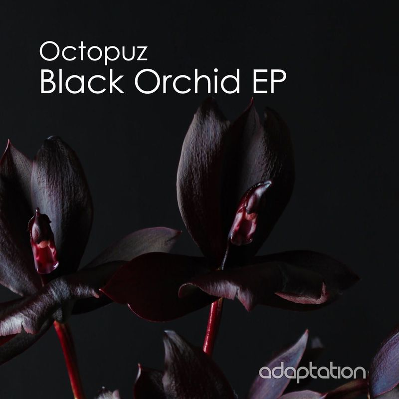 Octopuz - Black Orchid EP / Adaptation Music