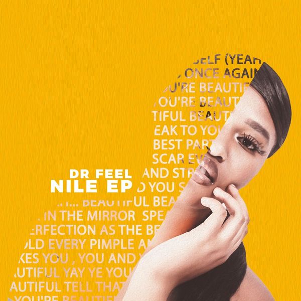 Dr Feel - NILE EP / VillaHangar