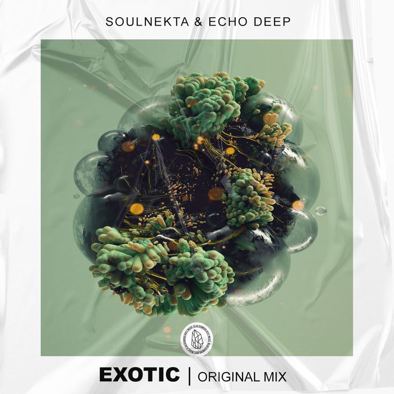 Soulnekta & Echo Deep - Exotic / Blaq Diamond Boyz Music