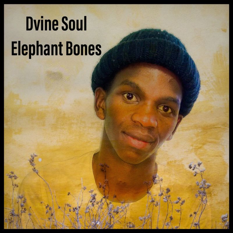 Dvine Soul - Elephant Bones / GodChildMusicInc.