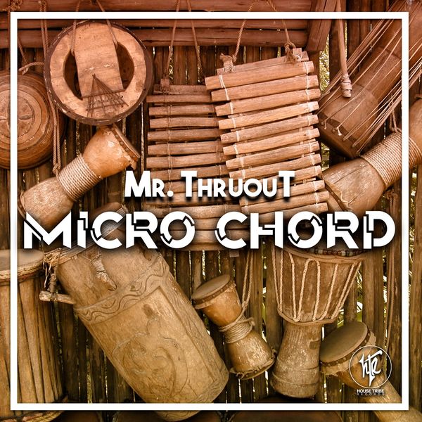 Mr. ThruouT - Micro Chord / House Tribe Records
