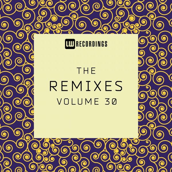 VA - The Remixes, Vol. 30 / LW Recordings