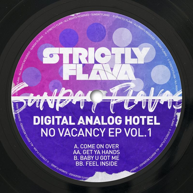 Digital Analog Hotel - No Vacancy, Vol. 1 / Sunday Flavas