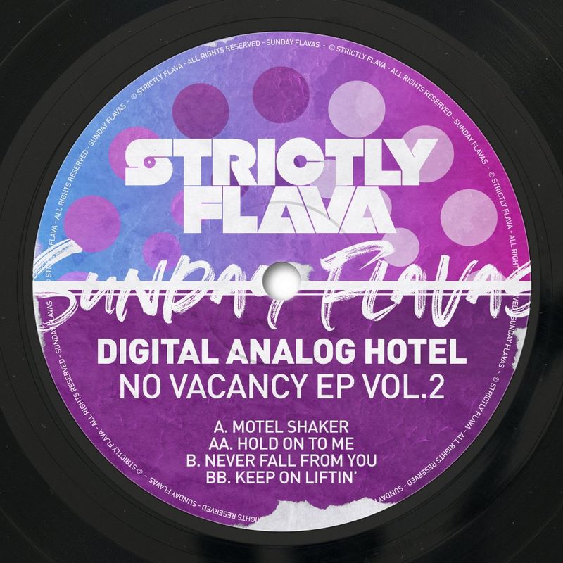 Digital Analog Hotel - No Vacancy, Vol. 2 / Sunday Flavas