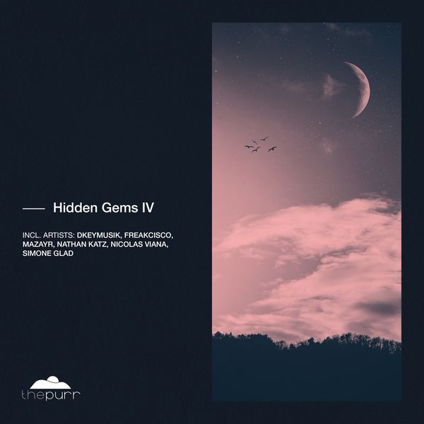 VA - Hidden Gems IV / The Purr